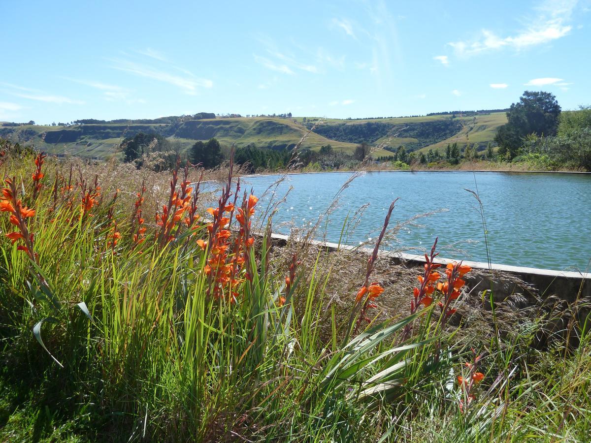 Drakensberg Inkosana Lodge Champagne Valley Екстер'єр фото