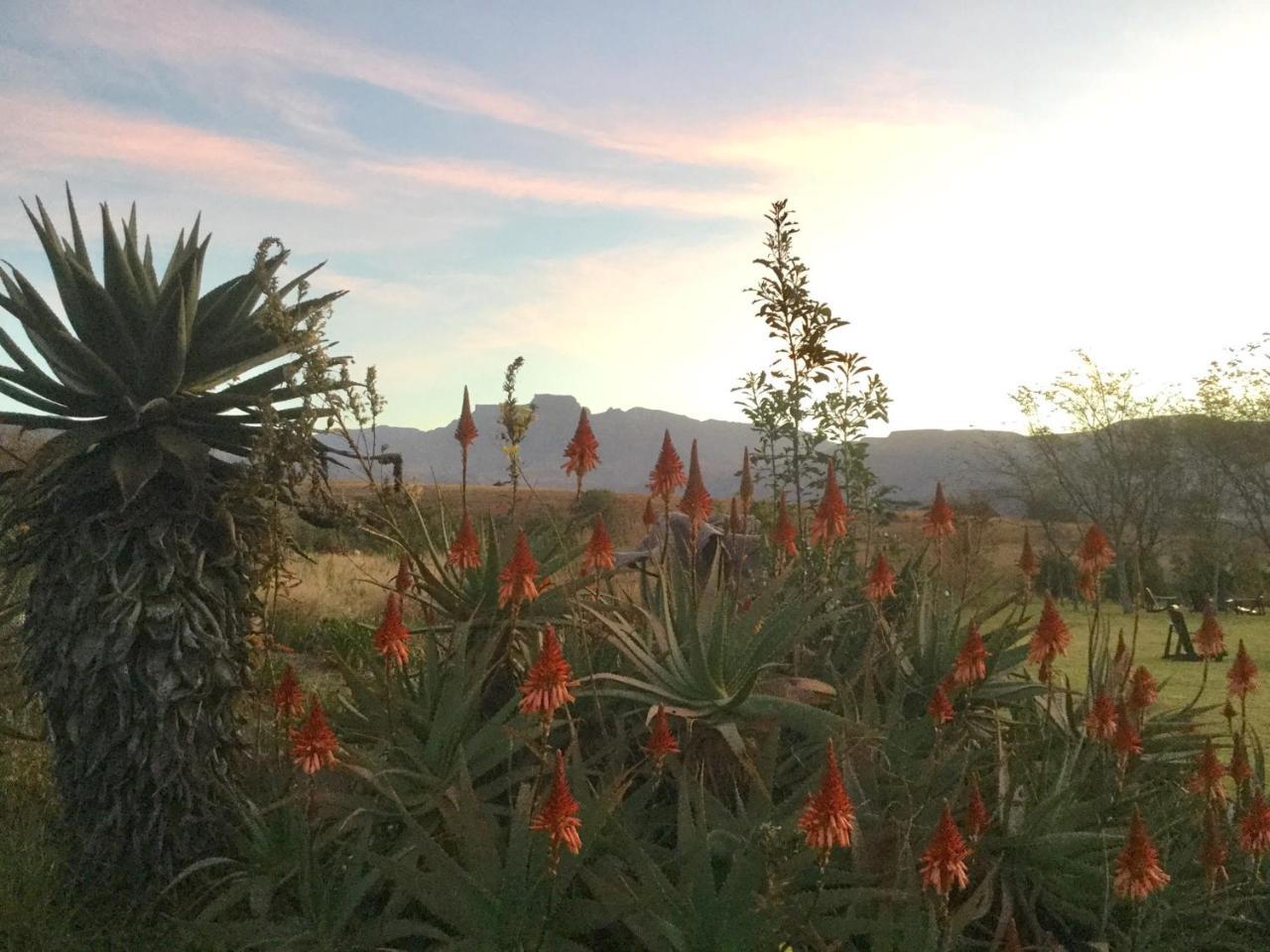 Drakensberg Inkosana Lodge Champagne Valley Екстер'єр фото